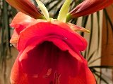 20220110_085200.jpg