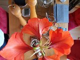 20220112_144325.jpg