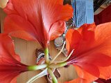 20220112_144332.jpg