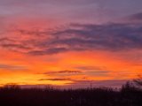 20220113_164346.jpg