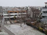 20220120_145923.jpg