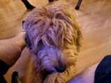 20220123_173225.jpg