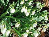 20220210_095459.jpg
