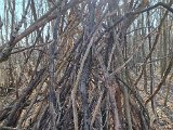 20220213_135954.jpg