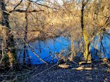 20220213_152923.jpg