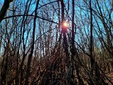 20220213_152956.jpg