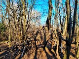 20220213_153022.jpg