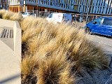 20220213_153132.jpg