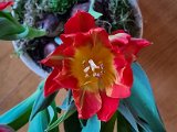 20220216_093842.jpg