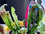 20220224_074232.jpg