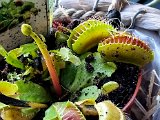 20220224_074306.jpg