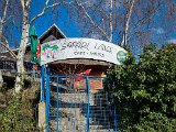 20220227_134351(0).jpg