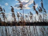 20220227_141024.jpg