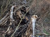 20220227_163033(0).jpg