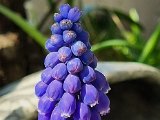20220327_143411(0).jpg