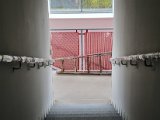 20220403_133729.jpg