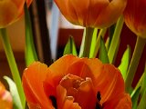 20220403_170813.jpg