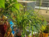 20220404_182758.jpg