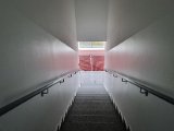 20220407_175342.jpg