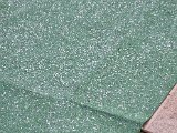 20220410_152211.jpg