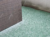 20220410_152356(0).jpg
