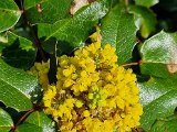 20220410_160457(0).jpg