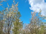 20220410_171158.jpg