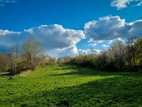 20220410_171556.jpg
