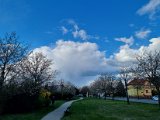 20220410_172259.jpg