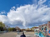 20220410_173215.jpg