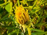20220412_065708.jpg