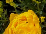 20220412_184601.jpg