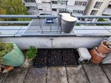 20220415_163405(0).jpg