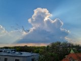 20220415_170500.jpg