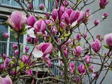20220416_092633.jpg