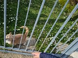 20220418_165052.jpg