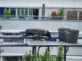 20220426_135850(0).jpg