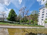 20220505_120836(0).jpg