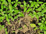 20220510_144326(0).jpg