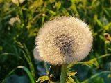 20220510_192850(0).jpg