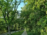 20220512_185646(0).jpg