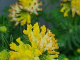 20220524_163738.jpg