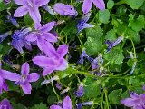 20220524_163829(0).jpg