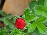 20220524_165733.jpg
