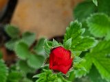 20220524_165734.jpg