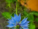20220524_165746.jpg