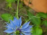 20220524_165747.jpg