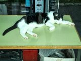 20220526_164130.jpg