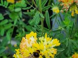 20220528_061338.jpg