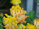 20220528_061401.jpg